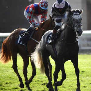 Doncaster | William Hill Trophy | 26/10/24