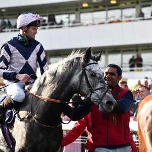 Doncaster | William Hill Trophy | 26/10/24