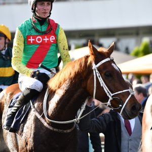 Doncaster | William Hill Trophy | 26/10/24