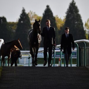 Doncaster | William Hill Trophy | 26/10/24