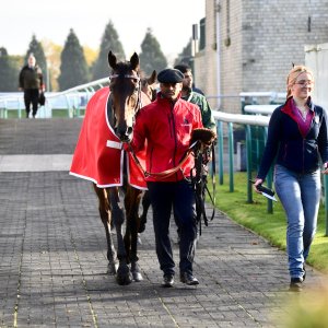 Doncaster | William Hill Trophy | 26/10/24