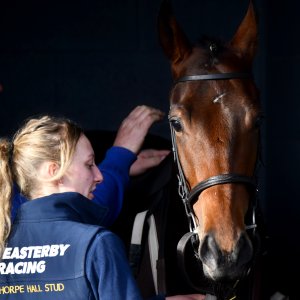 Doncaster | William Hill Trophy | 26/10/24