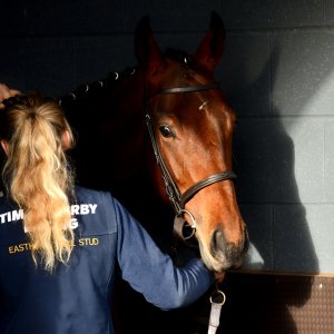 Doncaster | William Hill Trophy | 26/10/24