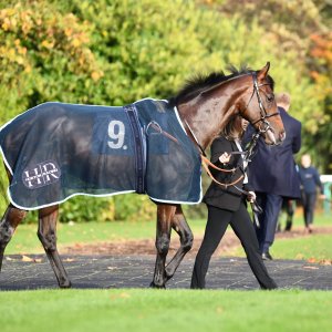 Doncaster | William Hill Trophy | 26/10/24