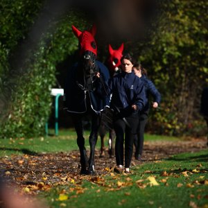 Doncaster | William Hill Trophy | 25/10/25