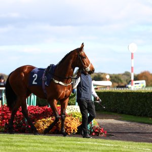 Doncaster | William Hill Trophy | 25/10/25