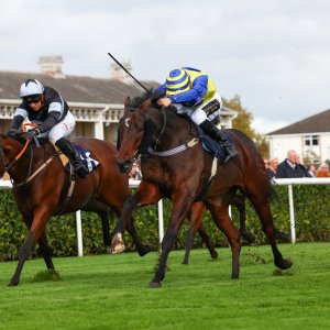 Doncaster | William Hill Trophy | 25/10/25