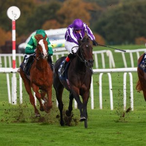 Doncaster | William Hill Trophy | 25/10/25