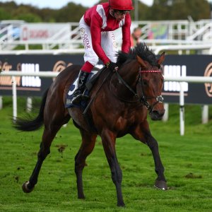 Doncaster | William Hill Trophy | 25/10/25