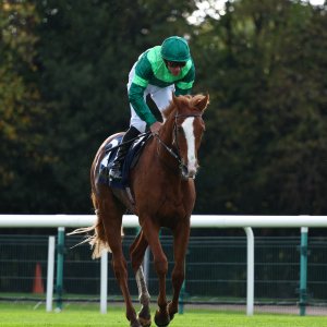 Doncaster | William Hill Trophy | 25/10/25