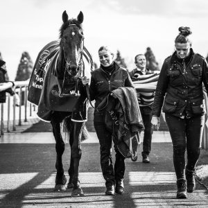 Doncaster | William Hill Trophy | 25/10/25