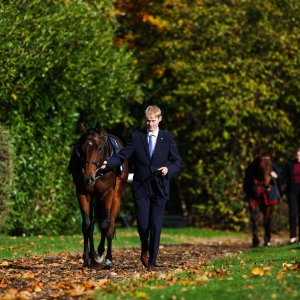 Doncaster | William Hill Trophy | 25/10/25