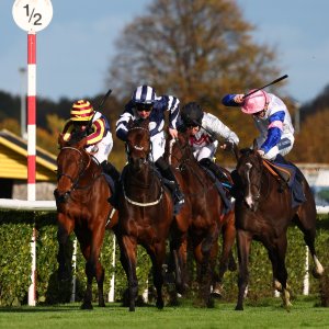 Doncaster | William Hill Trophy | 25/10/25