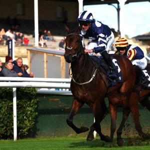 Doncaster | William Hill Trophy | 25/10/25