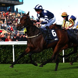 Doncaster | William Hill Trophy | 25/10/25