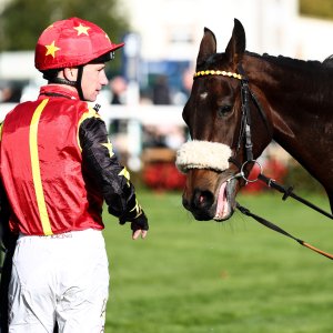 Doncaster | William Hill Trophy | 25/10/25