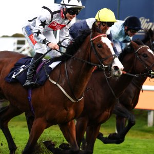 Doncaster | William Hill Trophy | 25/10/25