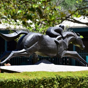 Texas | The Kentucky Derby Day | 3/5/25