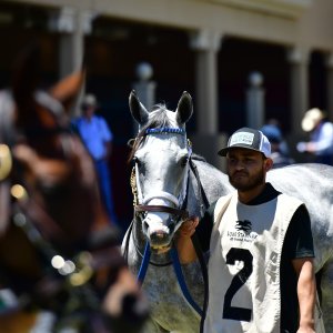 Texas | The Kentucky Derby Day | 3/5/25