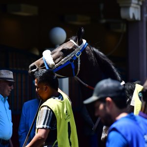 Texas | The Kentucky Derby Day | 3/5/25