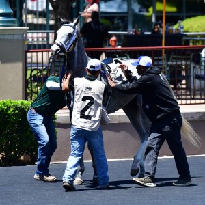 Texas | The Kentucky Derby Day | 3/5/25