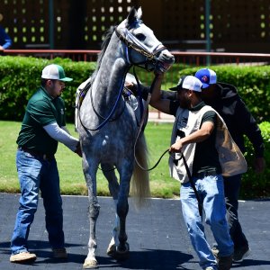 Texas | The Kentucky Derby Day | 3/5/25