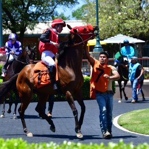 Texas | The Kentucky Derby Day | 3/5/25
