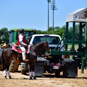 Texas | The Kentucky Derby Day | 3/5/25
