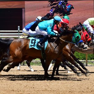 Texas | The Kentucky Derby Day | 3/5/25