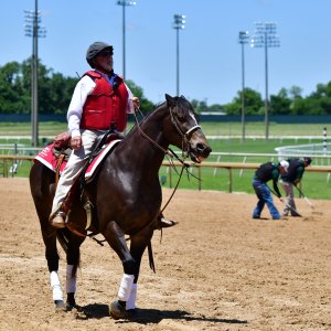 Texas | The Kentucky Derby Day | 3/5/25