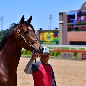 Texas | The Kentucky Derby Day | 3/5/25