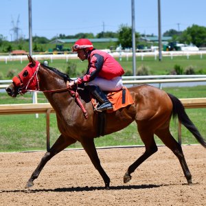 Texas | The Kentucky Derby Day | 3/5/25