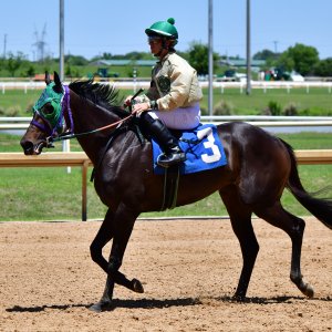 Texas | The Kentucky Derby Day | 3/5/25