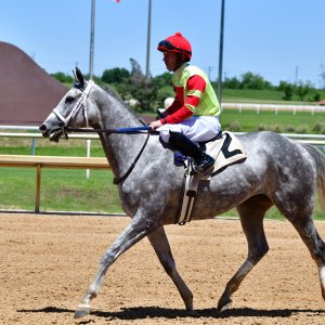 Texas | The Kentucky Derby Day | 3/5/25