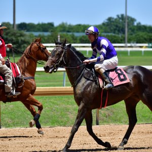 Texas | The Kentucky Derby Day | 3/5/25