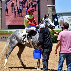 Texas | The Kentucky Derby Day | 3/5/25