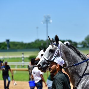 Texas | The Kentucky Derby Day | 3/5/25