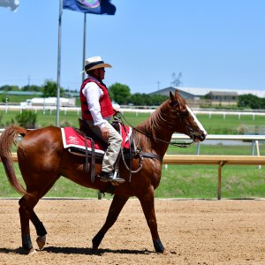 Texas | The Kentucky Derby Day | 3/5/25