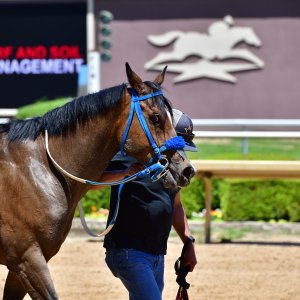 Texas | The Kentucky Derby Day | 3/5/25