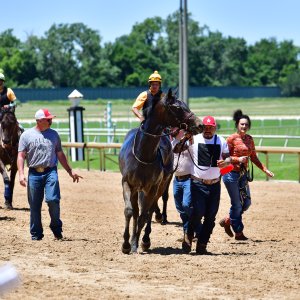 Texas | The Kentucky Derby Day | 3/5/25