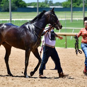 Texas | The Kentucky Derby Day | 3/5/25