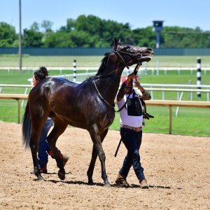 Texas | The Kentucky Derby Day | 3/5/25