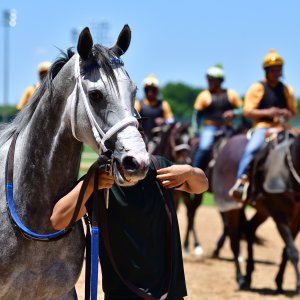 Texas | The Kentucky Derby Day | 3/5/25