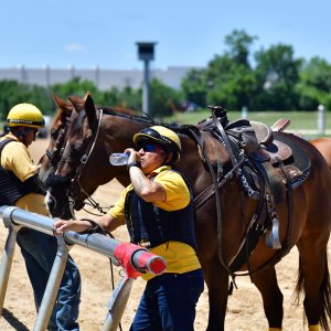 Texas | The Kentucky Derby Day | 3/5/25