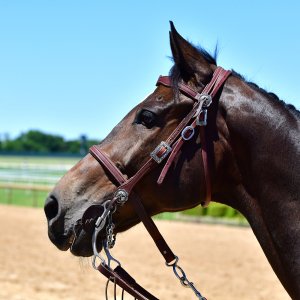 Texas | The Kentucky Derby Day | 3/5/25