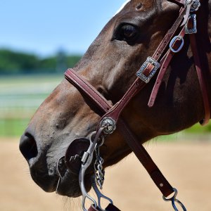 Texas | The Kentucky Derby Day | 3/5/25