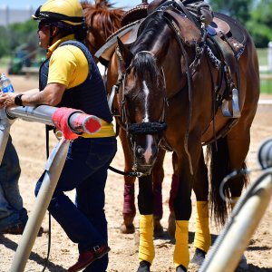 Texas | The Kentucky Derby Day | 3/5/25