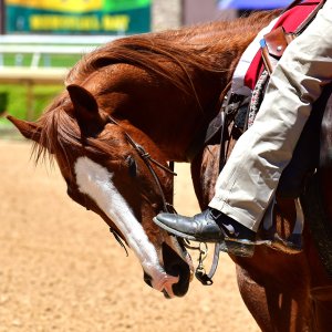 Texas | The Kentucky Derby Day | 3/5/25