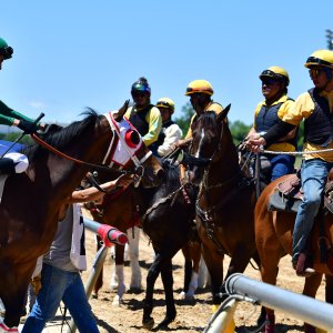 Texas | The Kentucky Derby Day | 3/5/25