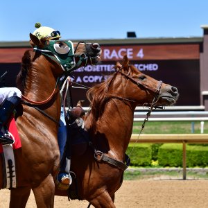 Texas | The Kentucky Derby Day | 3/5/25